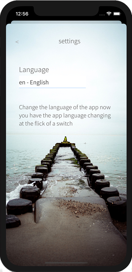 Settings screen in simplified Chinese of localization demo