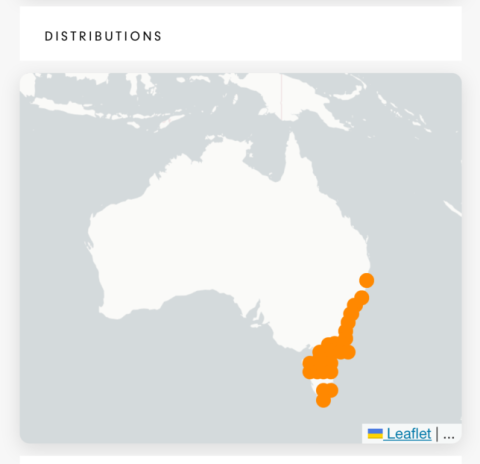 leaflet map correct position on load