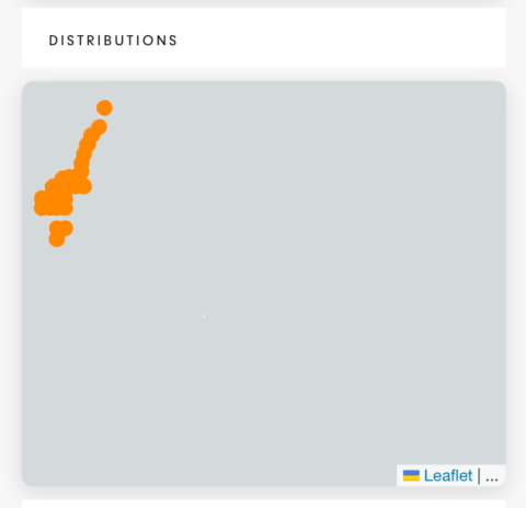 leaflet map original position wrong tiles showing